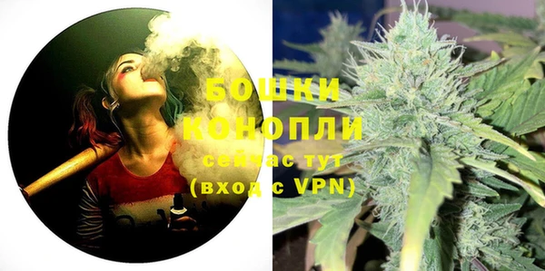 ГАЛЛЮЦИНОГЕННЫЕ ГРИБЫ Новодвинск