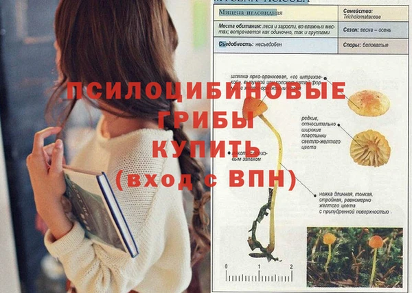 герыч Дмитровск