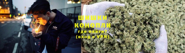 ГАЛЛЮЦИНОГЕННЫЕ ГРИБЫ Няндома